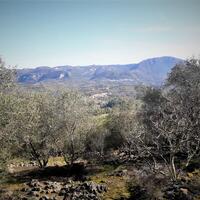 Island in Greece, Ionian Islands, Corfu, 8000 sq.m.