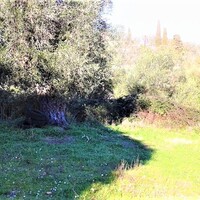 Island in Greece, Ionian Islands, Corfu, 1500 sq.m.