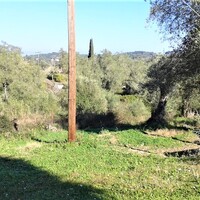 Island in Greece, Ionian Islands, Corfu, 1500 sq.m.