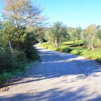 Island in Greece, Ionian Islands, Corfu, 17500 sq.m.