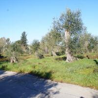 Island in Greece, Ionian Islands, Corfu, 17500 sq.m.