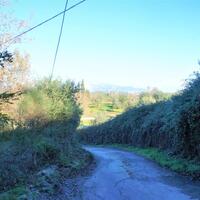 Island in Greece, Ionian Islands, Corfu, 17500 sq.m.