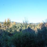 Island in Greece, Ionian Islands, Corfu, 4000 sq.m.