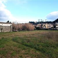 Island in Greece, Ionian Islands, Corfu, 4400 sq.m.