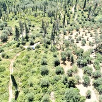 Island in Greece, Ionian Islands, Corfu, 7760 sq.m.