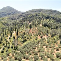 Island in Greece, Ionian Islands, Corfu, 7760 sq.m.