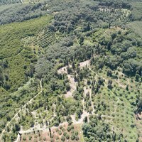 Island in Greece, Ionian Islands, Corfu, 7760 sq.m.