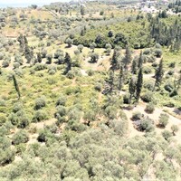 Island in Greece, Ionian Islands, Corfu, 7760 sq.m.