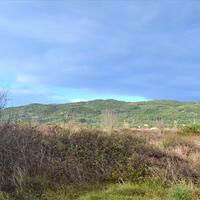 Island in Greece, Ionian Islands, Corfu, 5500 sq.m.