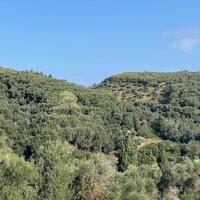 Остров в Греции, Ионические острова, Корфу, 30000 кв.м.