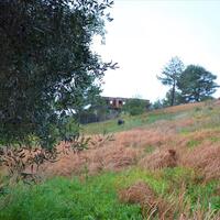 Island in Greece, Ionian Islands, Corfu, 2522 sq.m.
