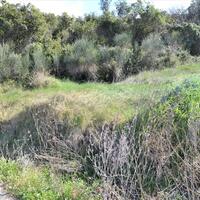Island in Greece, Ionian Islands, Corfu, 700 sq.m.