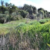 Island in Greece, Ionian Islands, Corfu, 700 sq.m.