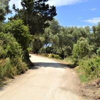 Island in Greece, Ionian Islands, Corfu, 4000 sq.m.