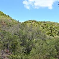 Island in Greece, Ionian Islands, Corfu, 4000 sq.m.