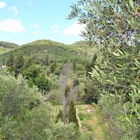Island in Greece, Ionian Islands, Corfu, 4000 sq.m.