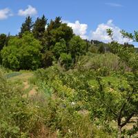 Island in Greece, Ionian Islands, Corfu, 4000 sq.m.