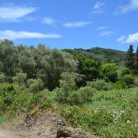 Island in Greece, Ionian Islands, Corfu, 4000 sq.m.