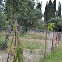 Island in Greece, Ionian Islands, Corfu, 1500 sq.m.