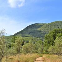 Остров в Греции, Ионические острова, Корфу, 8500 кв.м.