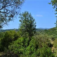 Island in Greece, Ionian Islands, Corfu, 2650 sq.m.