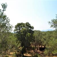 Island in Greece, Ionian Islands, Corfu, 2650 sq.m.