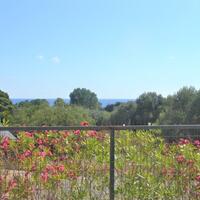 Island in Greece, Ionian Islands, Corfu, 4000 sq.m.