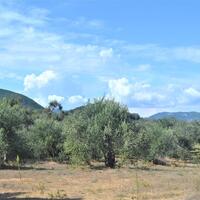 Island in Greece, Ionian Islands, Corfu, 4000 sq.m.