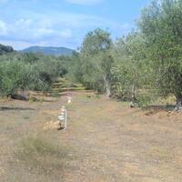 Island in Greece, Ionian Islands, Corfu, 4000 sq.m.