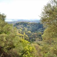 Island in Greece, Ionian Islands, Corfu, 14530 sq.m.