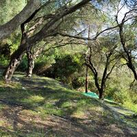 Island in Greece, Ionian Islands, Corfu, 14530 sq.m.