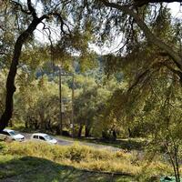 Island in Greece, Ionian Islands, Corfu, 14530 sq.m.