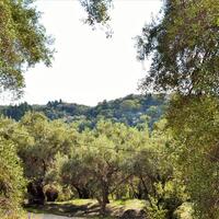 Island in Greece, Ionian Islands, Corfu, 14530 sq.m.