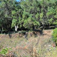 Island in Greece, Ionian Islands, Corfu, 14530 sq.m.