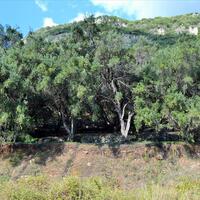 Island in Greece, Ionian Islands, Corfu, 14530 sq.m.