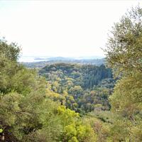 Island in Greece, Ionian Islands, Corfu, 14530 sq.m.