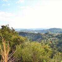 Island in Greece, Ionian Islands, Corfu, 14530 sq.m.