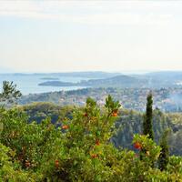 Island in Greece, Ionian Islands, Corfu, 14530 sq.m.