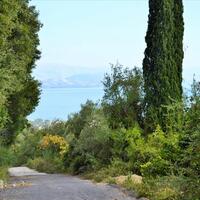 Island in Greece, Ionian Islands, Corfu, 14530 sq.m.