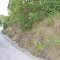 Остров в Греции, Ионические острова, Корфу, 5800 кв.м.