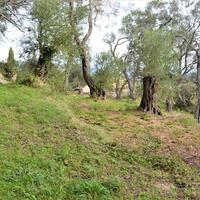 Island in Greece, Ionian Islands, Corfu, 3136 sq.m.