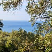 Island in Greece, Ionian Islands, Corfu, 7606 sq.m.