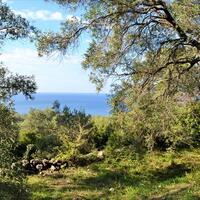 Island in Greece, Ionian Islands, Corfu, 7606 sq.m.