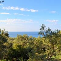 Island in Greece, Ionian Islands, Corfu, 7606 sq.m.