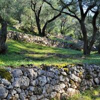 Island in Greece, Ionian Islands, Corfu, 7606 sq.m.