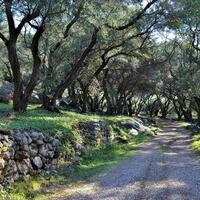 Island in Greece, Ionian Islands, Corfu, 7606 sq.m.