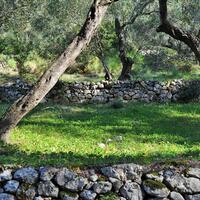 Island in Greece, Ionian Islands, Corfu, 7606 sq.m.