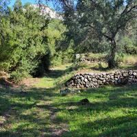 Island in Greece, Ionian Islands, Corfu, 7606 sq.m.