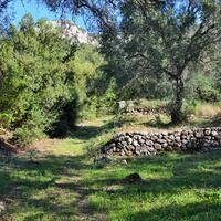 Island in Greece, Ionian Islands, Corfu, 7606 sq.m.