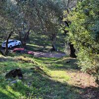 Island in Greece, Ionian Islands, Corfu, 7606 sq.m.